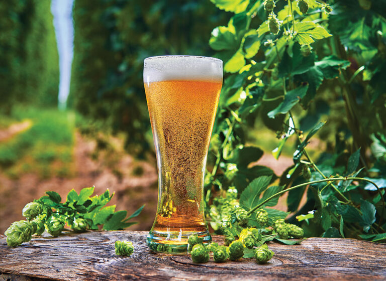 For feature about craft breweries in Puyallup and Sumner, WA