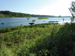 Lower Muskegon River Project