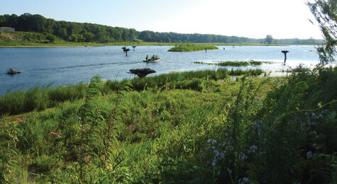 Lower Muskegon River Project