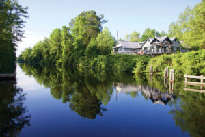 Dismal Swamp State Park