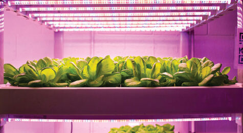 One of three ag labs across Pennsylvania, this facility is part of the NextGen Prosperity thru Urban Leadership, Sustainability & Entrepreneurship [NPULSE] pilot.