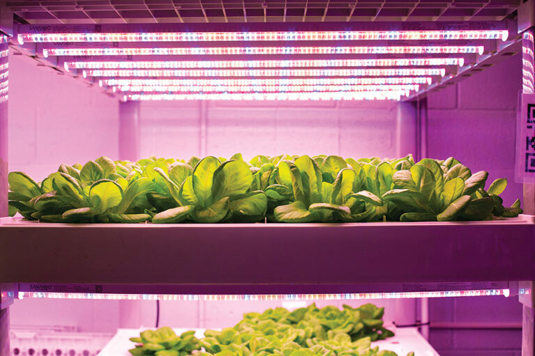 One of three ag labs across Pennsylvania, this facility is part of the NextGen Prosperity thru Urban Leadership, Sustainability & Entrepreneurship [NPULSE] pilot.