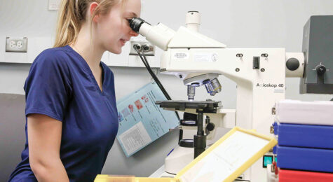 Job shadowing in the medical field