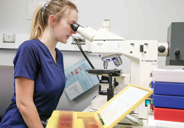 Job shadowing in the medical field