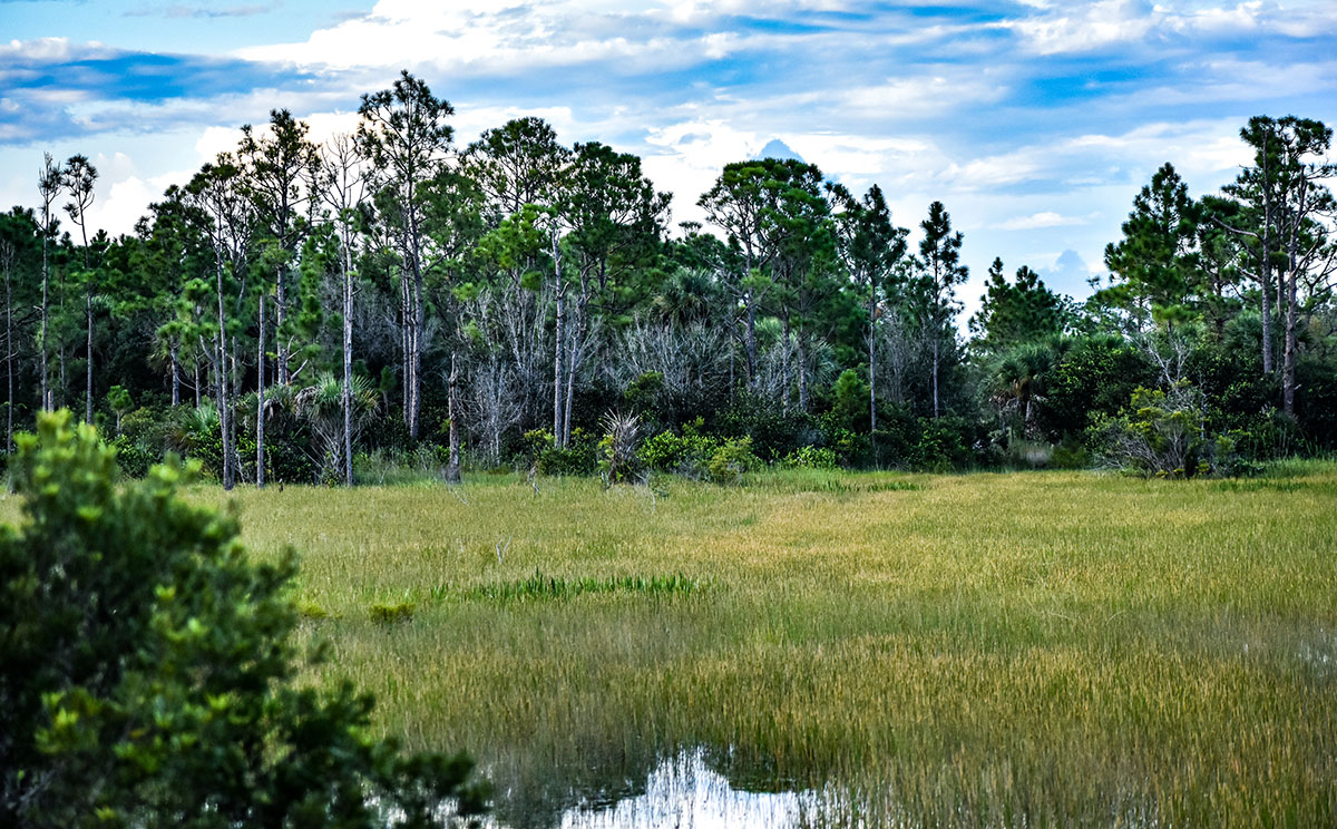 Photo representing Sulfur, Louisiana