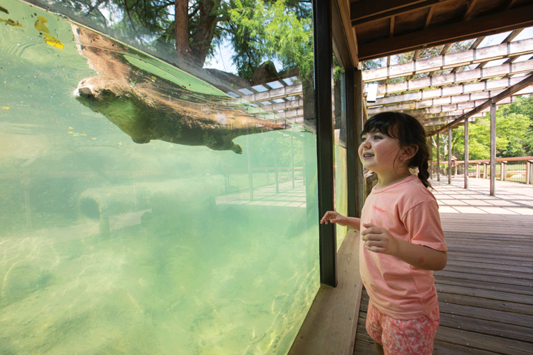 Caldwell Zoo in Tyler, TX