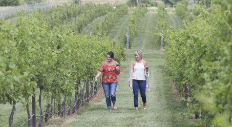 Women stroll through the vineyards at KC Wine Co in Olathe, KS. Olathe is the Shawnee word for "beautiful," reflected in the city's rolling hills and gorgeous scenery.