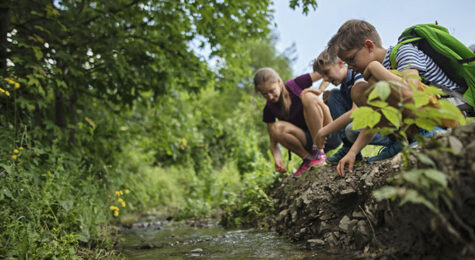 Kids play in a creek in Troy, MI. The 1,000 acres of parks in Troy allow for just about every outdoor activity.