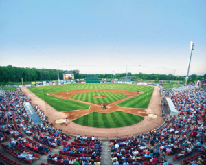 NeuroScience Field Fox Cities
