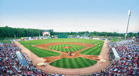 NeuroScience Field Fox Cities