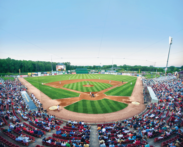 NeuroScience Field Fox Cities