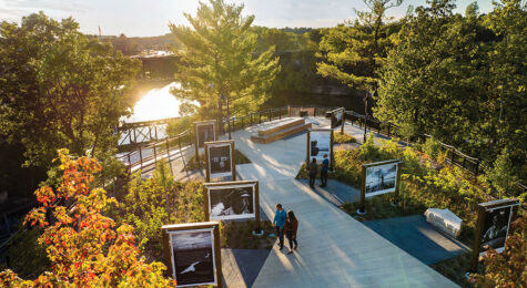 Outside of Madison, the region’s smaller towns are calling, with vibrant arts scenes, outdoor escapes and family-friendly fun.