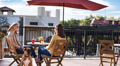 Great connections can be made in Madison, WI