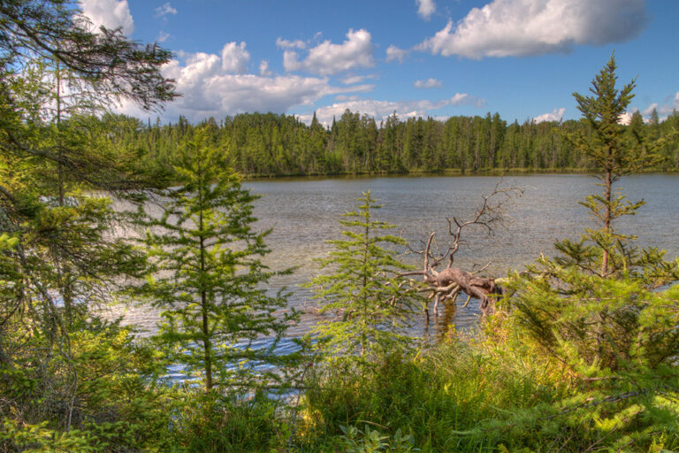 A view of Lake Bemidji in Bemidji MN