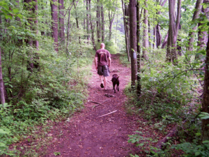 French Creek State Park