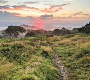 living in Asheville, NC