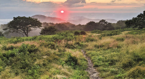 living in Asheville, NC