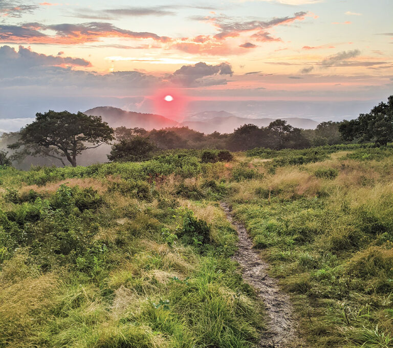 living in Asheville, NC