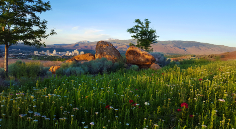 Reno skyline