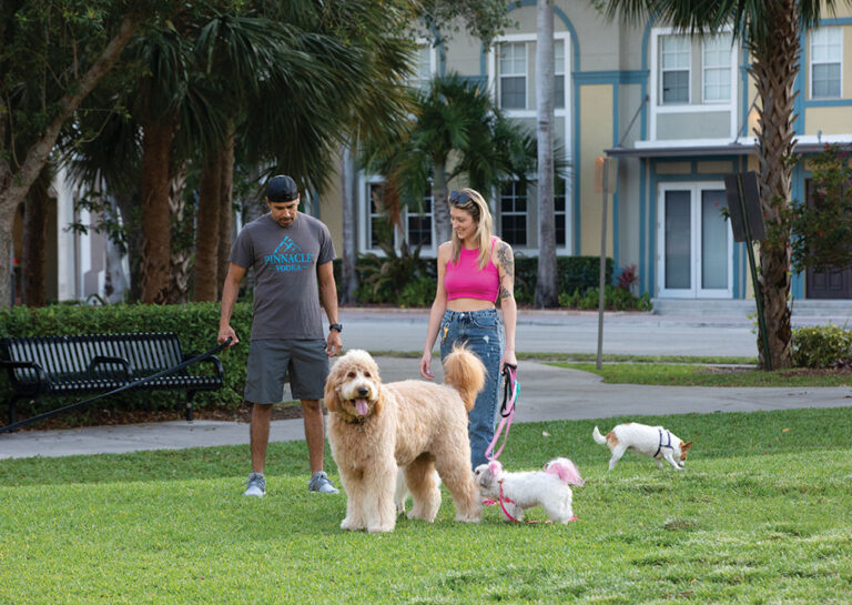 For Fort Lauderdale downtown dwellers with pets, dog parks are within reach.
