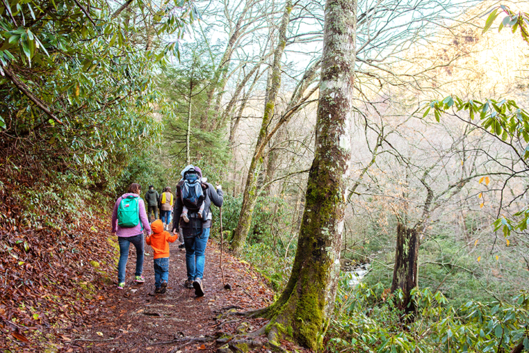 Great Smoky Mountains National Park