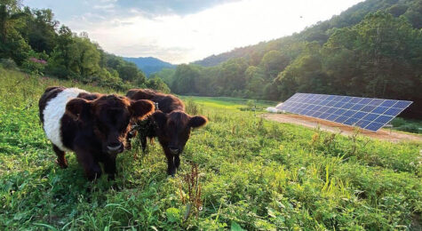 Alternative energy sources fuel the Advantage Valley.