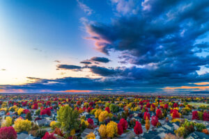 Falls Colors in Meridian, Idaho