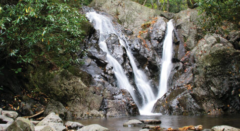 Grayson Highlands State Park in Washington County, VA