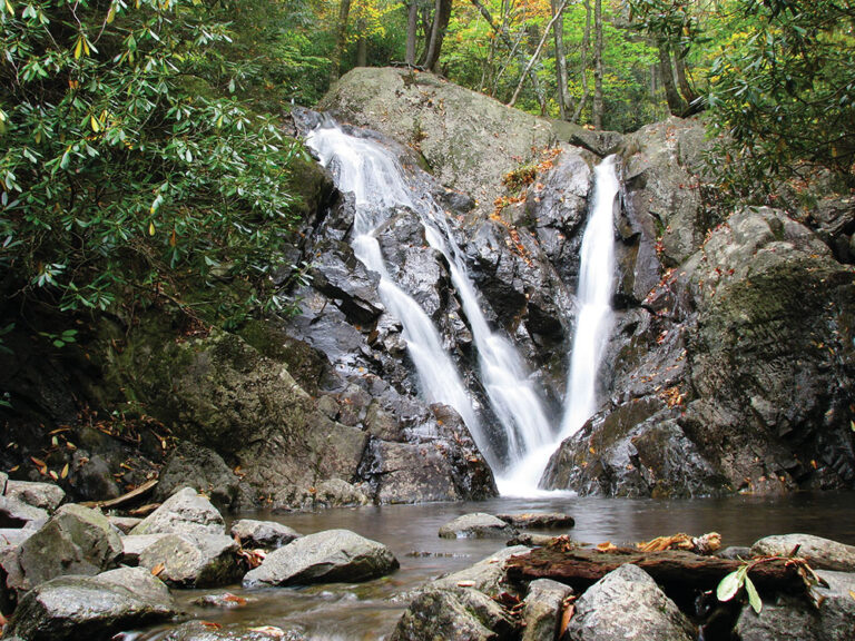 Grayson Highlands State Park in Washington County, VA