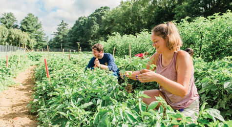 Emory & Henry Garden in Virginia