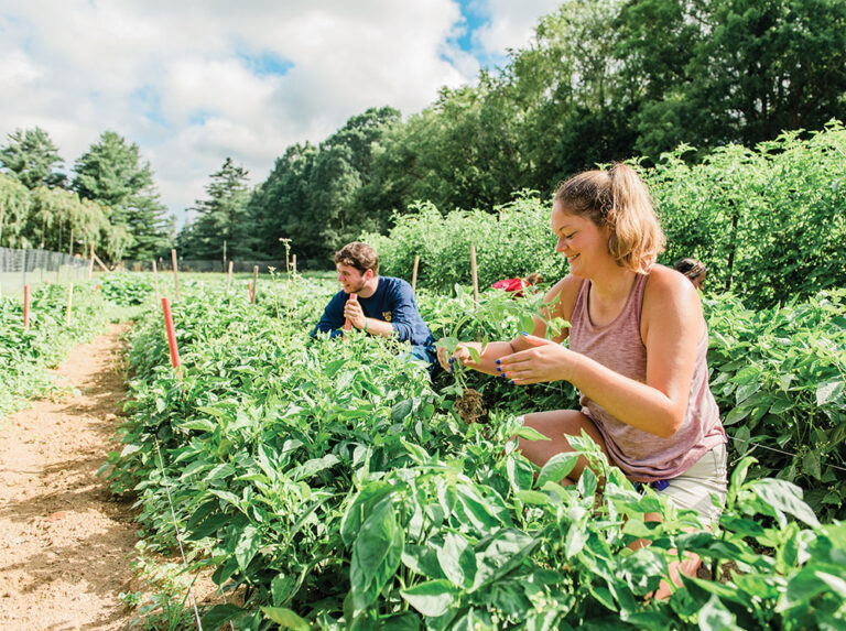 Emory & Henry Garden in Virginia
