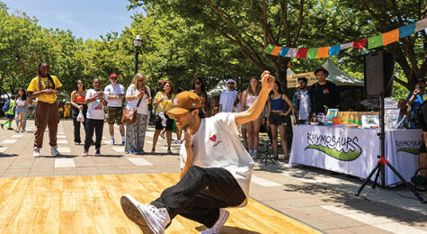 Festival in San Joaquin County