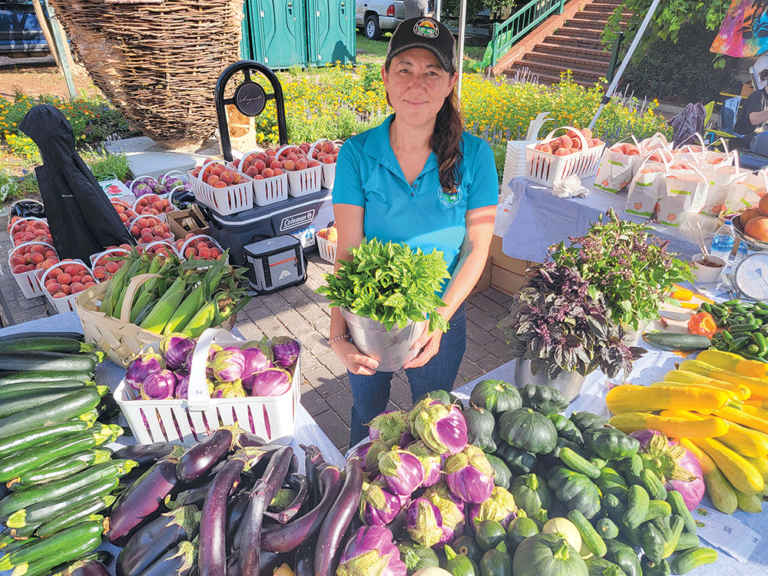 Farmers Market Western SC