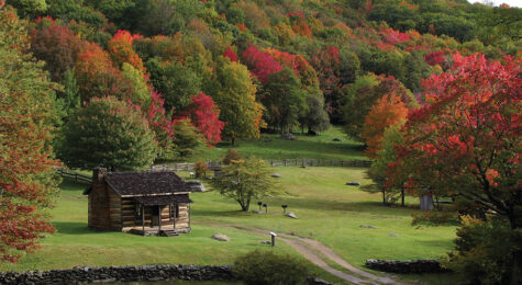 Grayson Highlands State Park in Virginia