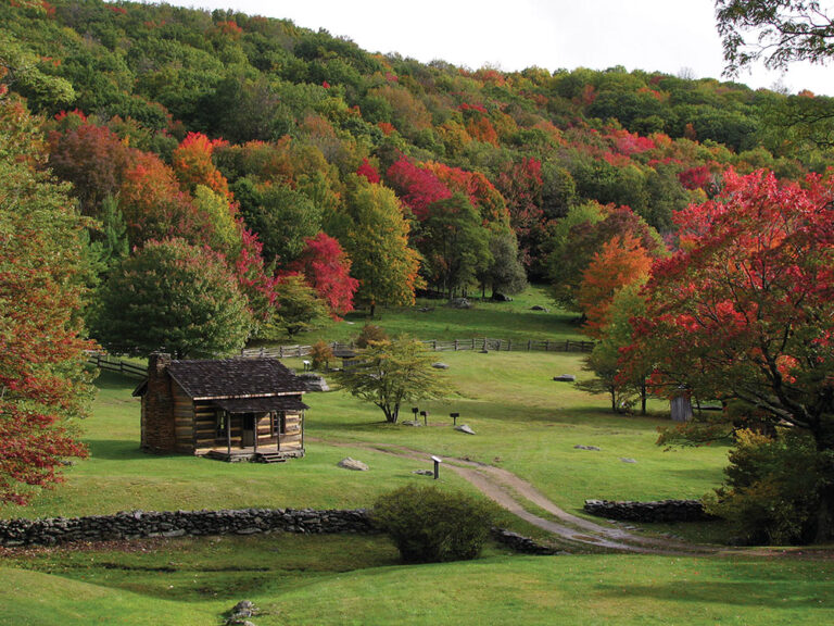 Grayson Highlands State Park in Virginia