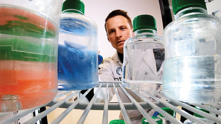 Nature’s Toolbox in New Mexico