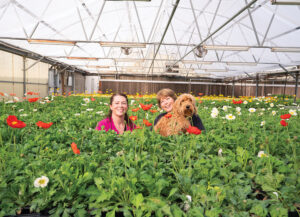 Moss Greenhouses of Jerome, ID