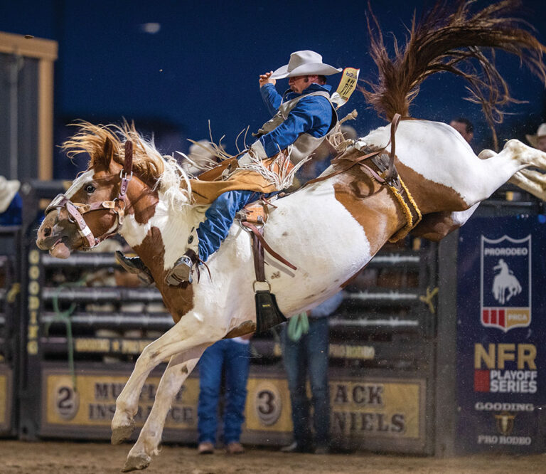Gooding Pro Rodeo in Southern Idaho