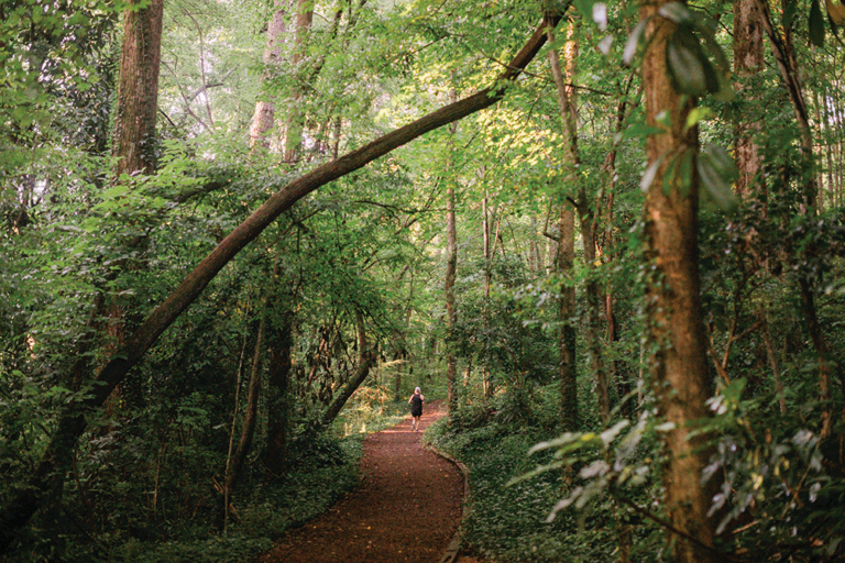 Running in Winston-Salem