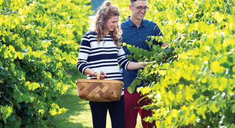 Hinnant Family Vineyards in the Triangle East region of North Carolina