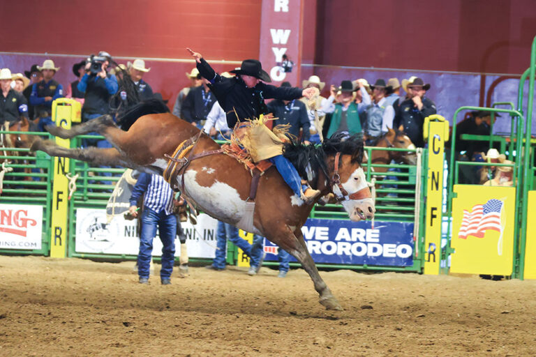 Rodeo in Casper, Wyoming