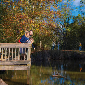 Willow Springs Park in Johnson City, TN