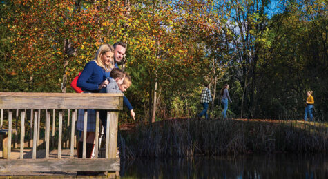 Willow Springs Park in Johnson City, TN
