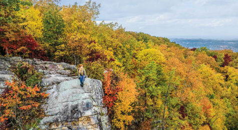 White Rock at Buffalo Mountain Park in East Tennessee