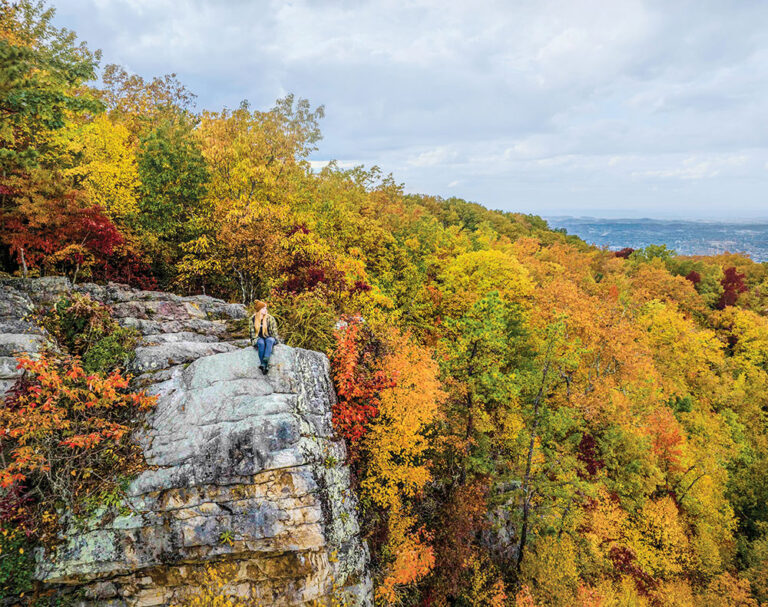 White Rock at Buffalo Mountain Park in East Tennessee