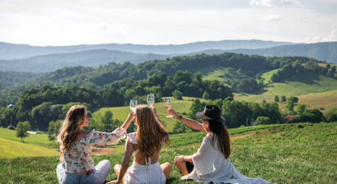 Watauga Lake Winery in East Tennessee