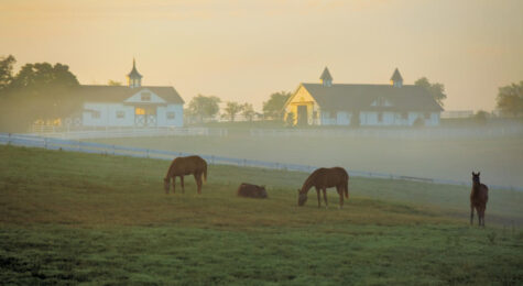 Lexington, KY is among the Top 100 Best Places To Live in the U.S.