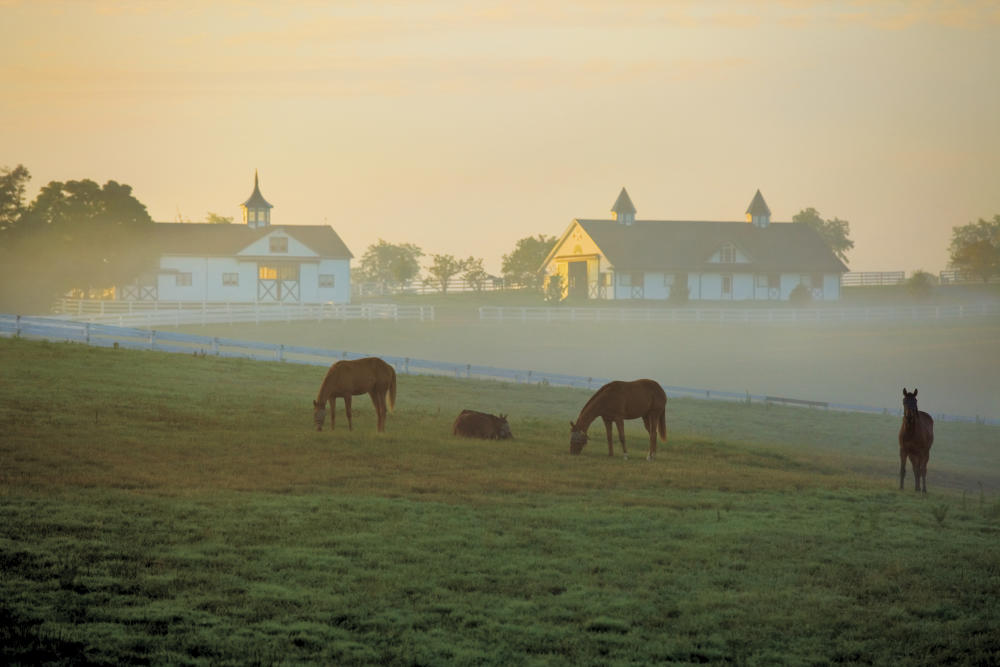 Lexington, KY is among the Top 100 Best Places To Live in the U.S.
