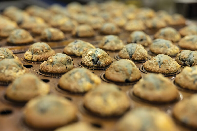 East Central Indiana is a hub for food manufacturing.