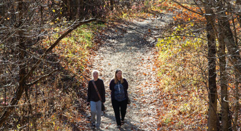 Mary Gray Bird Sanctuary in Fayette County, IN